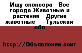 Ищу спонсора - Все города Животные и растения » Другие животные   . Тульская обл.